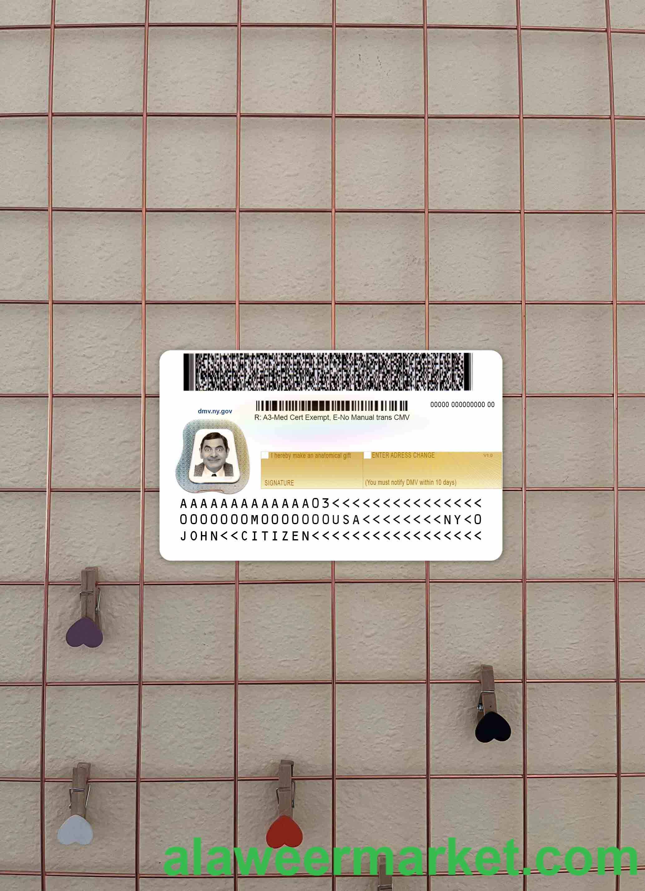USA New York driving license under 21 photolook BACK